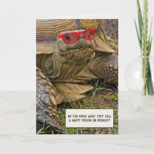 Tortoise med solglasögon för pension kort