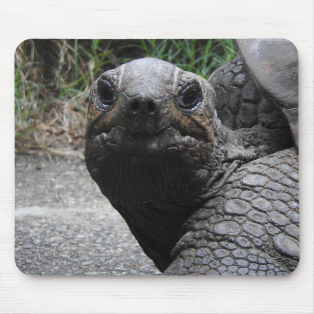 Tortoise Mousepad Musmatta (Framsidan)