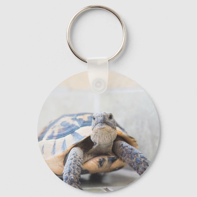 Tortoise Nyckelring (Framsida)