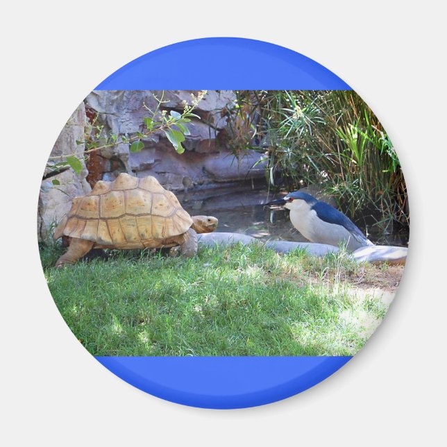 Tortoise och Blue Jay Friends Magnet (Framsidan)
