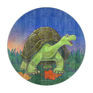 Tortoise-presentationer och tillbehör