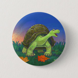 Tortoise-presentationer och tillbehör knapp