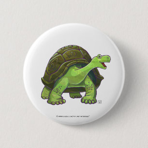 Tortoise-presentationer och tillbehör knapp