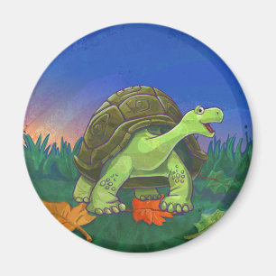 Tortoise-presentationer och tillbehör magnet