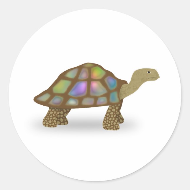 Tortoise Runt Klistermärke (Framsida)