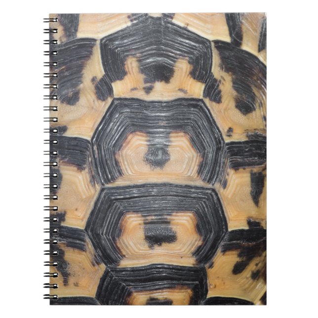 Tortoise snäcka anteckningsbok (Framsidan)