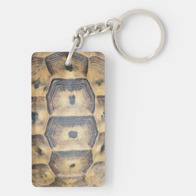 Tortoise Snäcka Mönster (Baksidan)