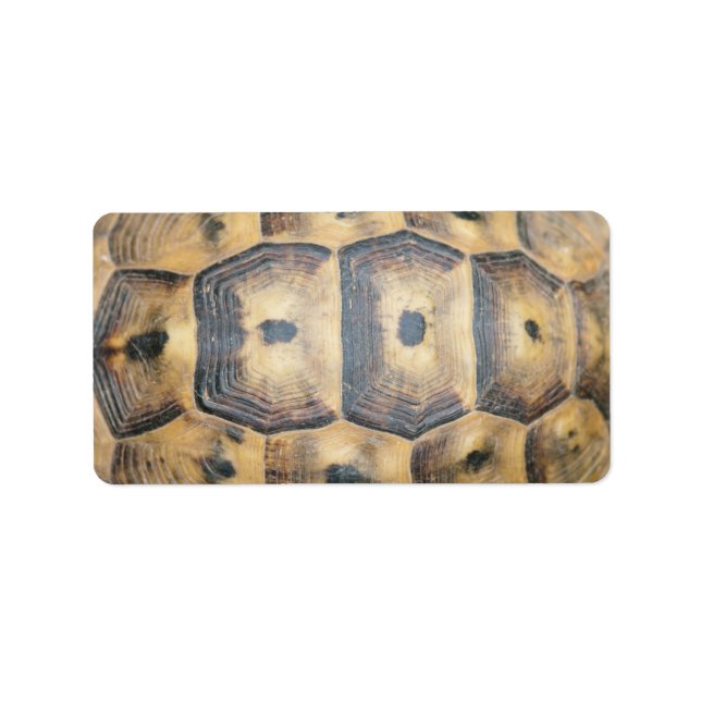 Tortoise Snäcka Mönster Adressetikett (Framsidan)
