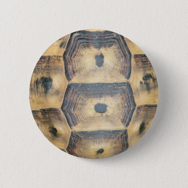 Tortoise Snäcka Mönster Knapp (Framsida)