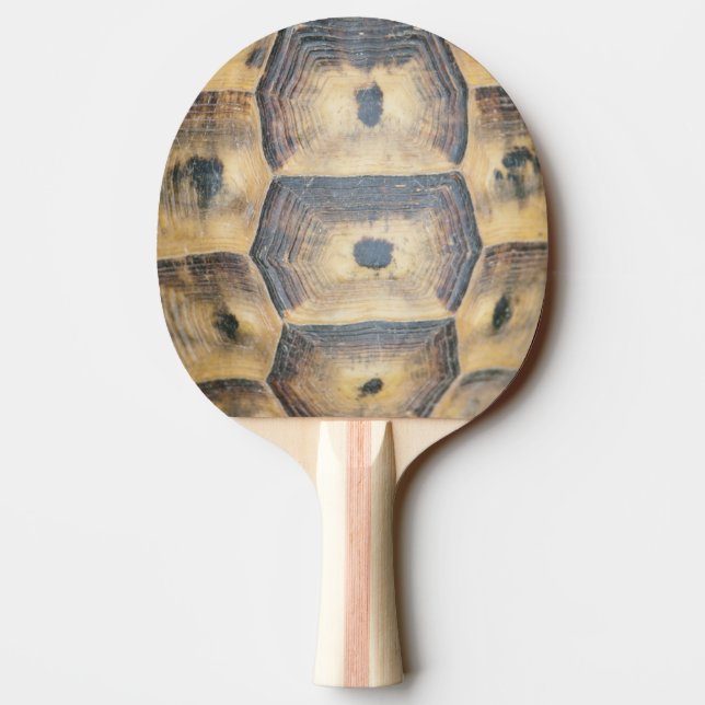 Tortoise Snäcka Mönster Pingisracket (Baksidan)