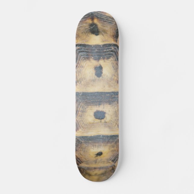 Tortoise Snäcka Mönster Skateboard Bräda 21,5 Cm (Framsida)