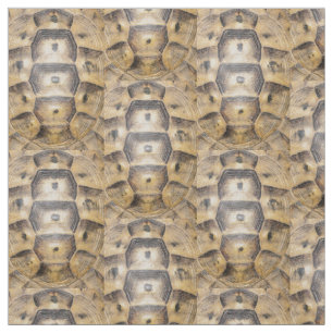 Tortoise snäcka mönster tyg