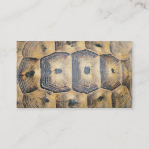 Tortoise Snäcka Mönster Visitkort
