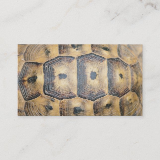 Tortoise Snäcka Mönster Visitkort (Framsida)