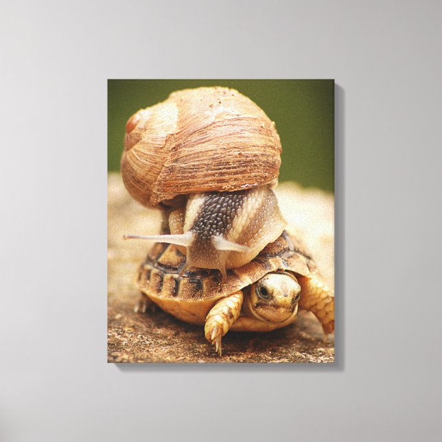 Tortoise snigel Riding Baby Canvastryck (Framsida)