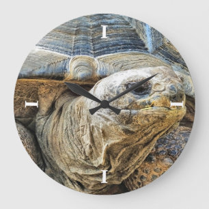 TORTOISE STOR KLOCKA