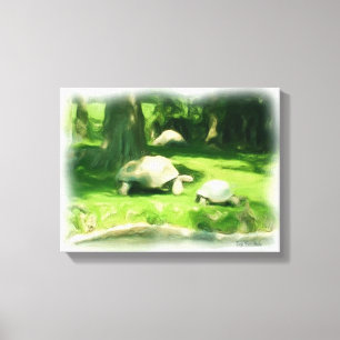 Tortoise Tävling Canvastryck