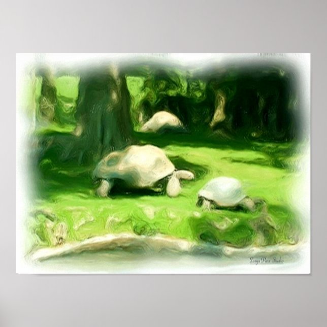 Tortoise Tävling Poster (Framsidan)