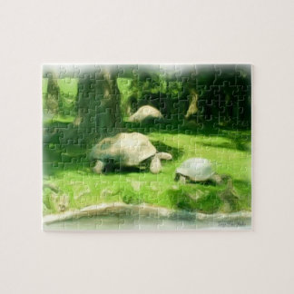Tortoise Tävling Pussel
