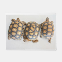 Tortoise Trio-doormat