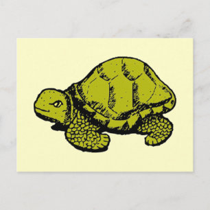 Tortoise Vykort
