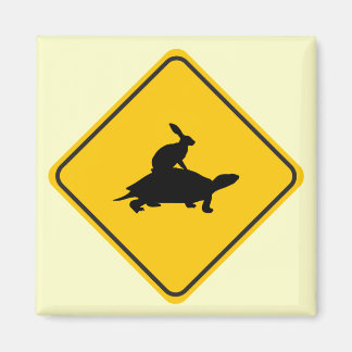 Tortoiseback Hare Crossing Magnet