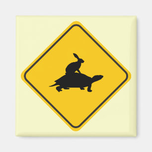 Tortoiseback Harekorsning Magnet