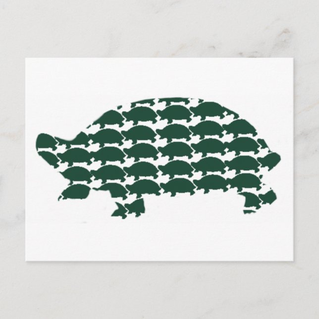 Tortoises Vykort (Framsida)