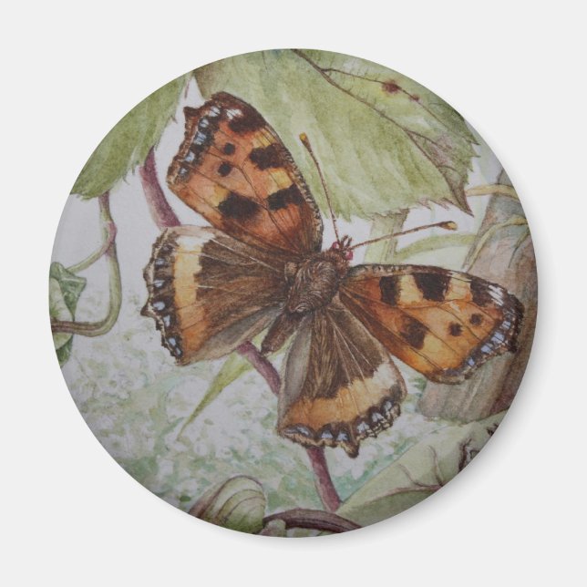 Tortoiseshell butterfly magnet (Framsidan)
