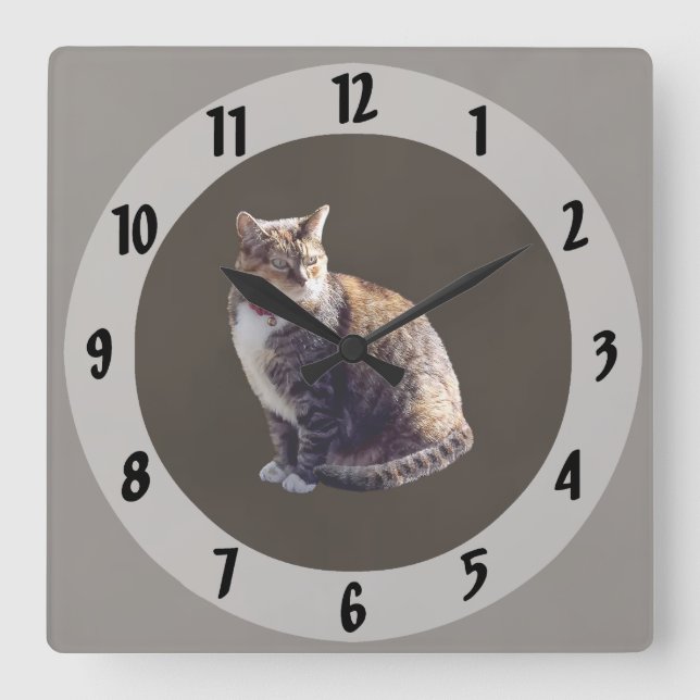 Tortoiseshell Cat Fyrkantig Klocka (Framsida)