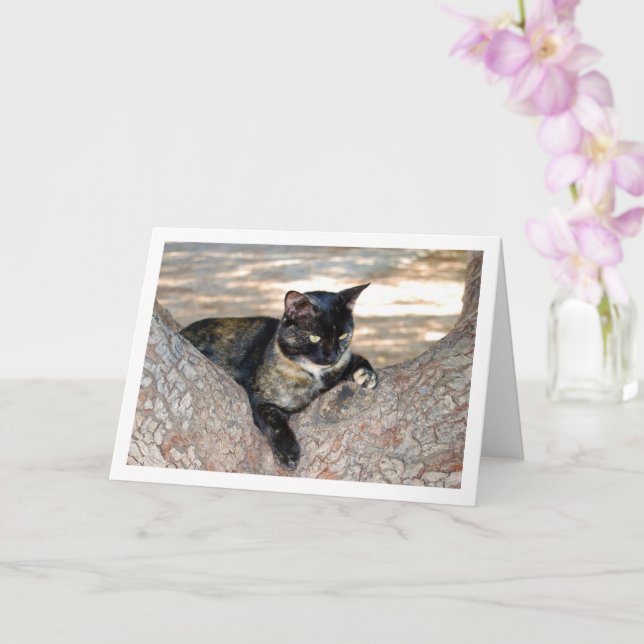 Tortoiseshell Cat i Träd Kort (Orkide)