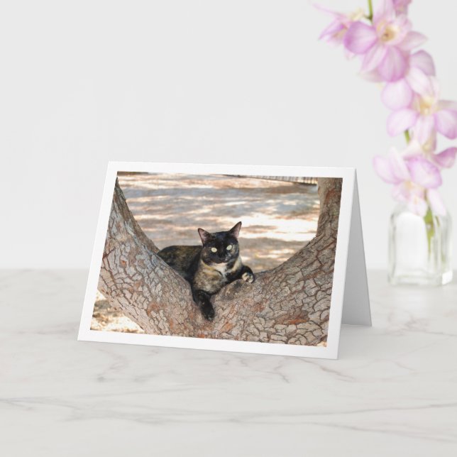 Tortoiseshell Cat i Träd Kort (Orkide)