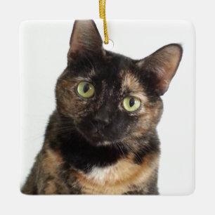 Tortoiseshell Cat Julgransprydnad Keramik