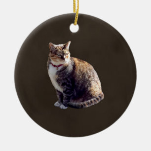 Tortoiseshell Cat Julgransprydnad Keramik