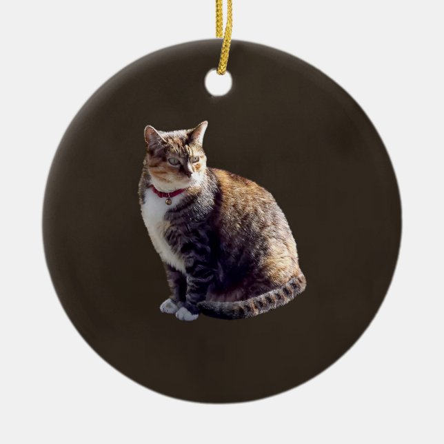 Tortoiseshell Cat Julgransprydnad Keramik (Framsidan)