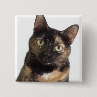 Tortoiseshell Cat Knapp