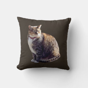 Tortoiseshell Cat Kudde