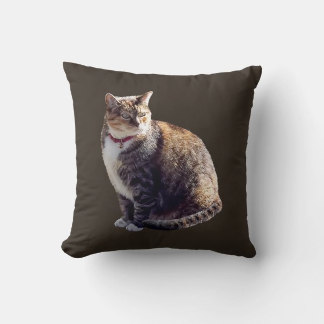 Tortoiseshell Cat Kudde (Framsida)