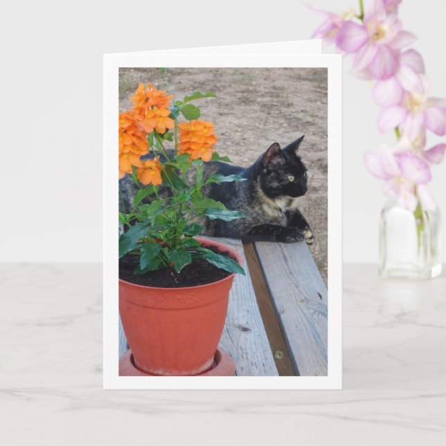 Tortoiseshell Cat med eldningsblommor Kort (Orkide)