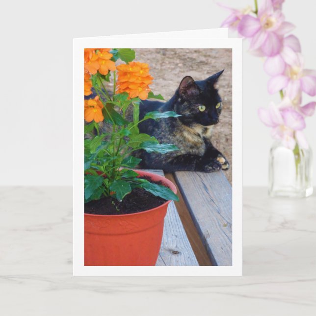 Tortoiseshell Cat med eldningsblommor Kort (Orkide)
