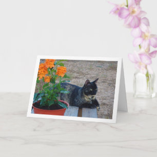 Tortoiseshell Cat med eldningsblommor Kort