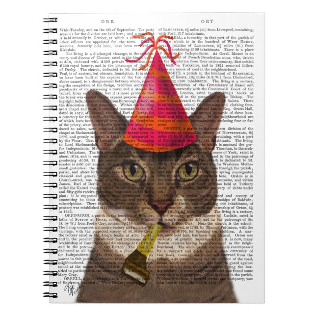 Tortoiseshell Cat med Party Hat Anteckningsbok (Framsidan)