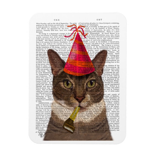 Tortoiseshell Cat med Party Hat Magnet (Vertikal)
