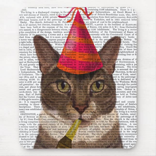 Tortoiseshell Cat med Party Hat Musmatta (Framsidan)