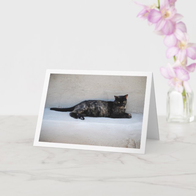 Tortoiseshell Cat Porträtt Kort (Orkide)