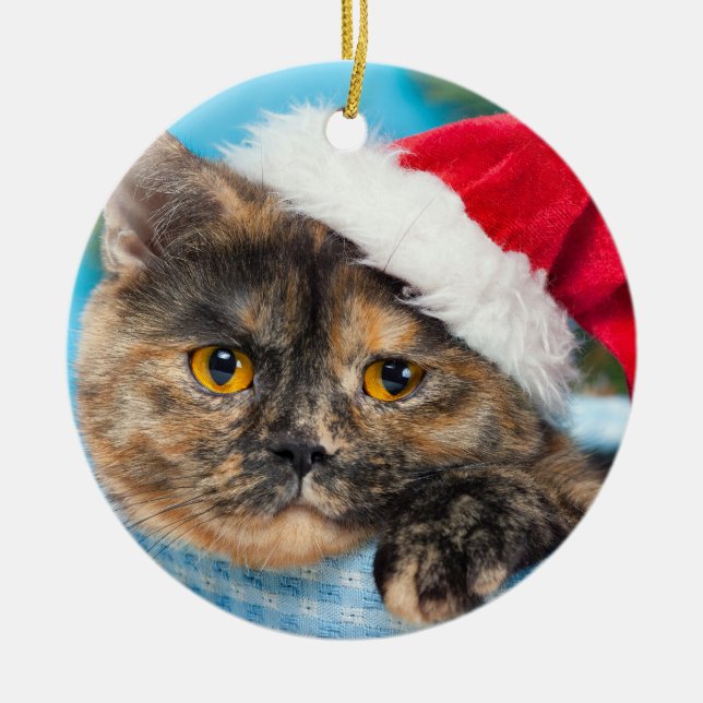 Tortoiseshell Cat PurrFect-Julhelg Julgransprydnad Keramik (Framsidan)