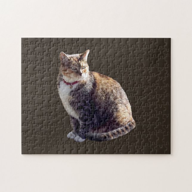 Tortoiseshell Cat Pussel (Horisontell)