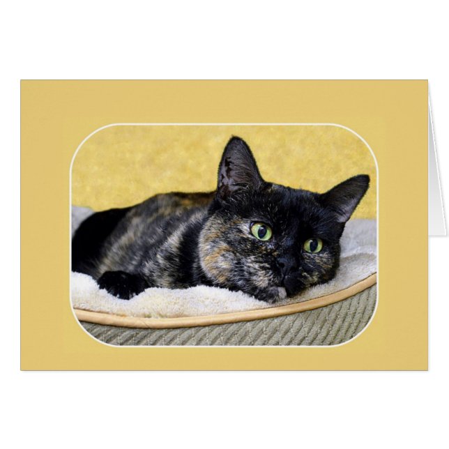 Tortoiseshell Cat Thinking Hälsningskort (Framsidan Horizontal)