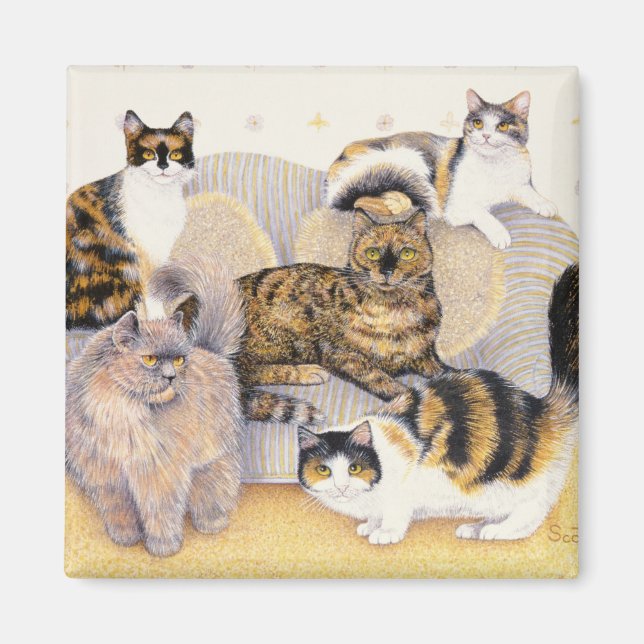 Tortoiseshell dam magnet (Framsidan)