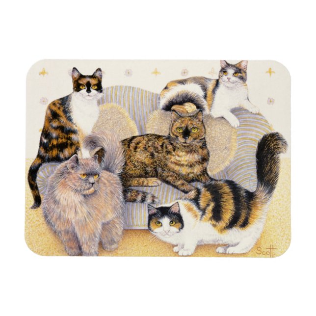 Tortoiseshell dam magnet (Horisontell)